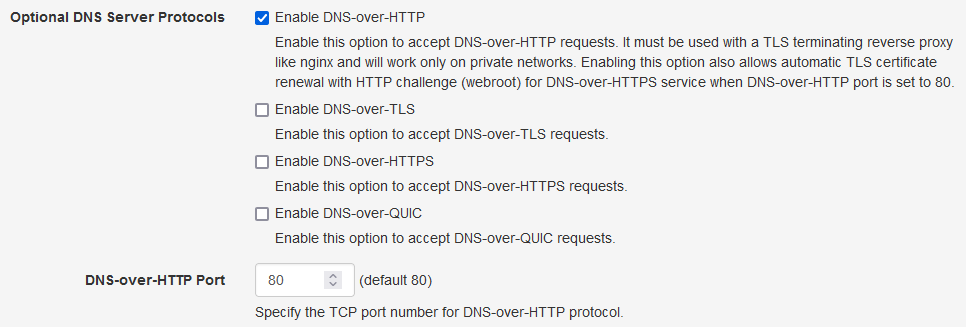 Optional DNS Server Protocols